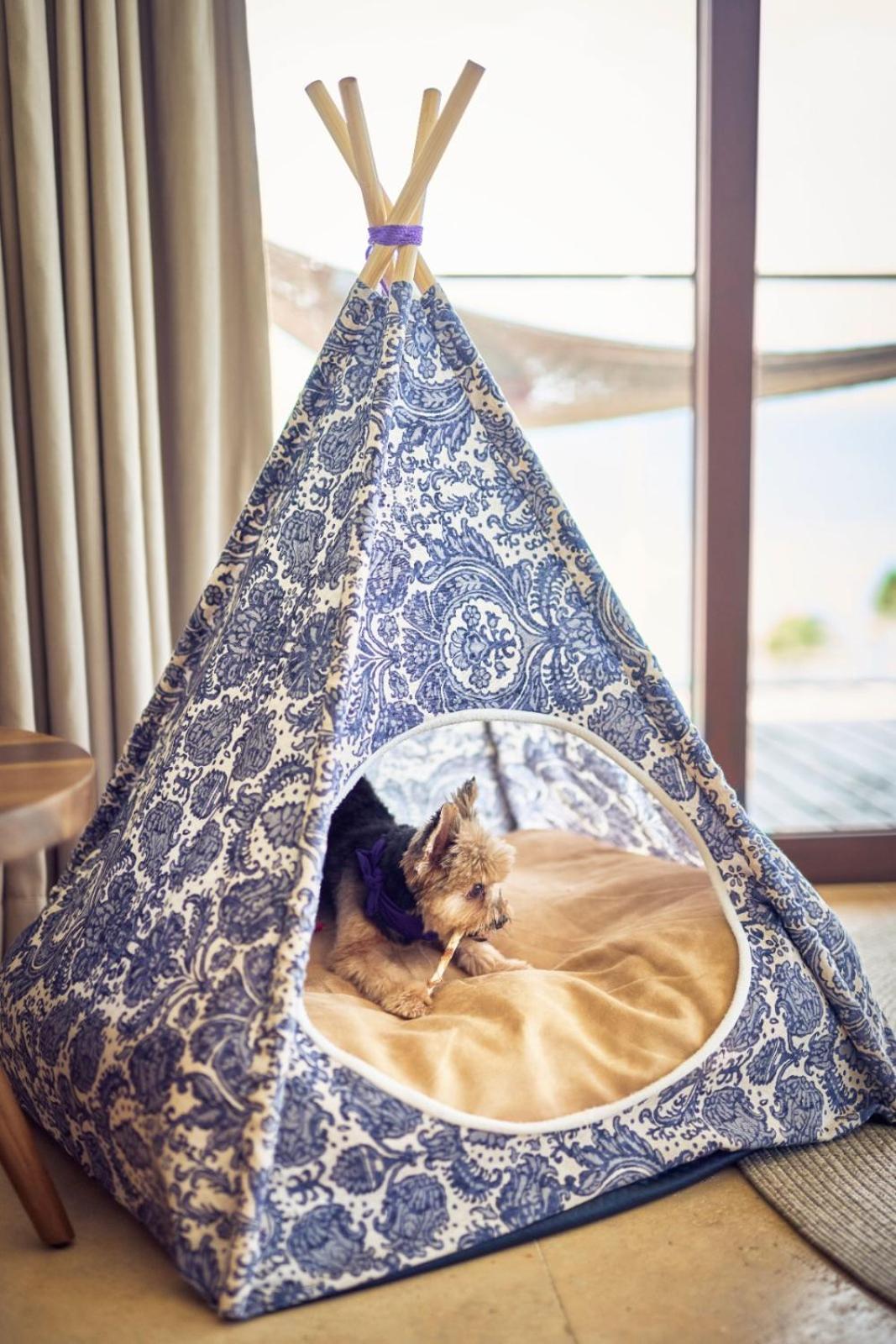Hotel Xcaret Arte - All Parks All Fun Inclusive - Adults Only Playa del Carmen Exterior photo A dog in a teepee